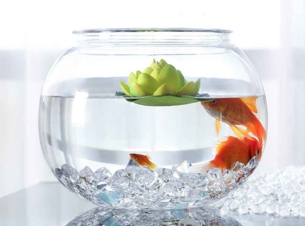 Amazon.co.jp: 金魚鉢丸型金魚鉢 水槽 高プラスチック透明アクリル